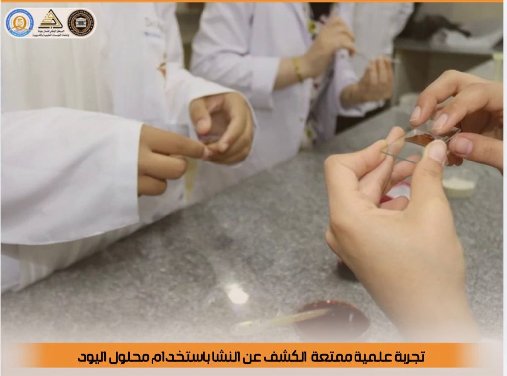 تجربة بسيطة للكشف عن النشا